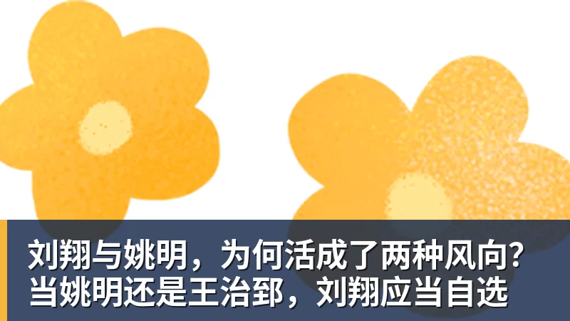 横跨三大洲，菲斯四年三次击败对手，屡屡实现职业生涯新突破 - mk体育(中国)官方网站 - mk sports